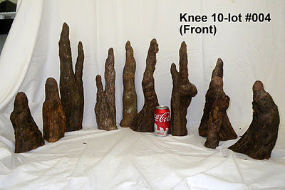 IMGP0812.JPG