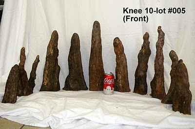 IMGP0814.JPG