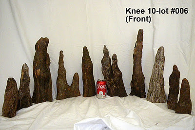 IMGP0816.JPG