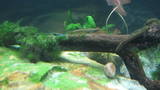 th_NewRiver024.jpg