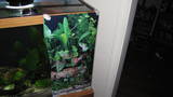 th_NewRiver035.jpg