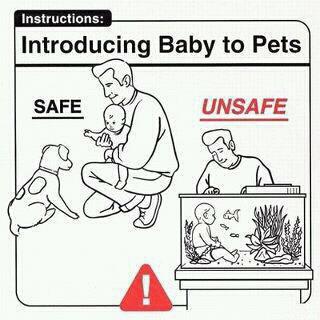 pets.jpg