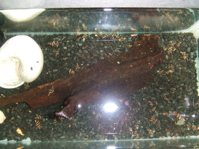 DSCF3553.JPG
