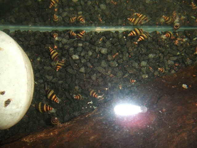 DSCF3559.JPG