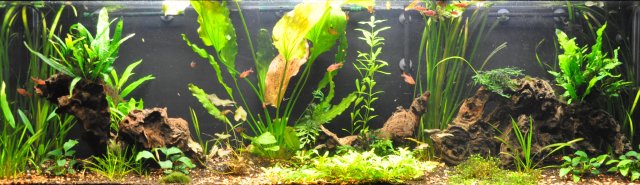 9-29-11 Full View.jpg