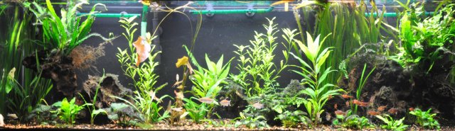 12-13-11 Full View.jpg