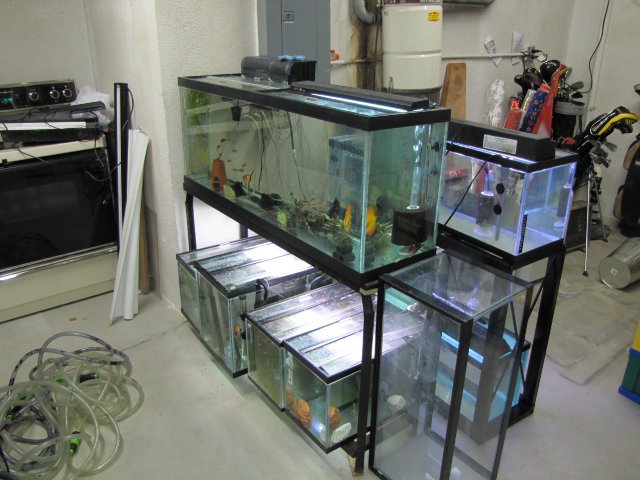 fish room.jpg
