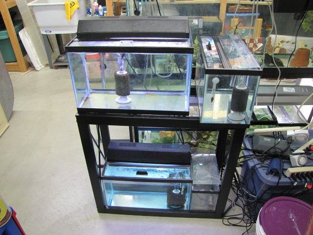 fish room 2.jpg