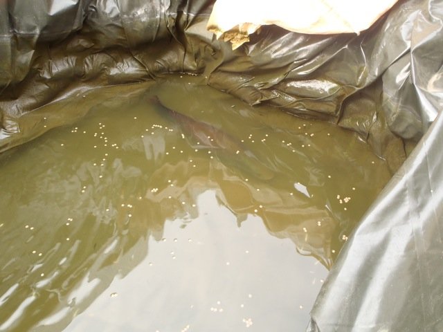 P2030110.jpg P2030110.jpg