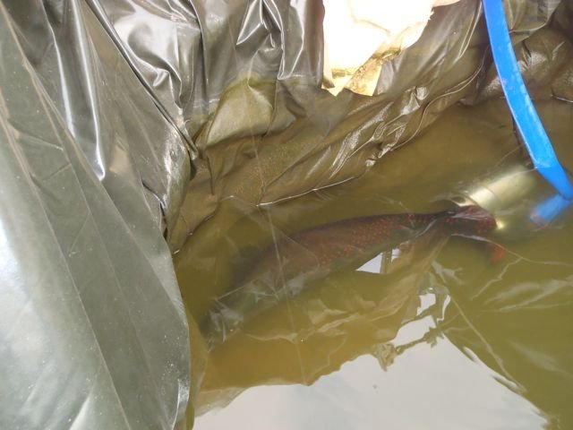 P2030100.jpg P2030100.jpg