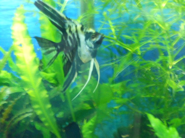 DSCN0542.JPG