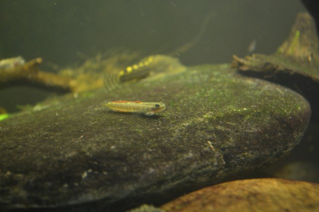 DSC_0477.jpg