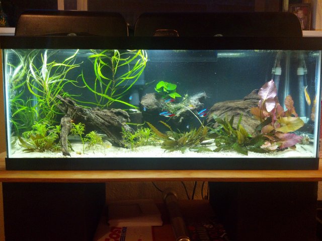 2012-02-12_17-53-48_593.jpg