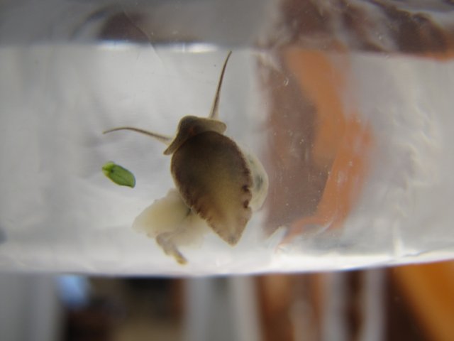 Picture 010.jpg Picture 010.jpg