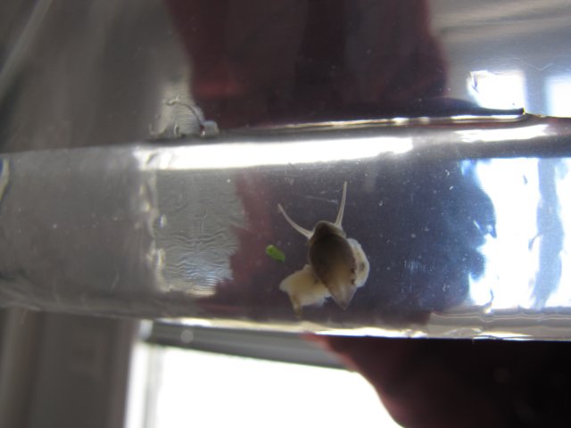 Picture 008.jpg Picture 008.jpg