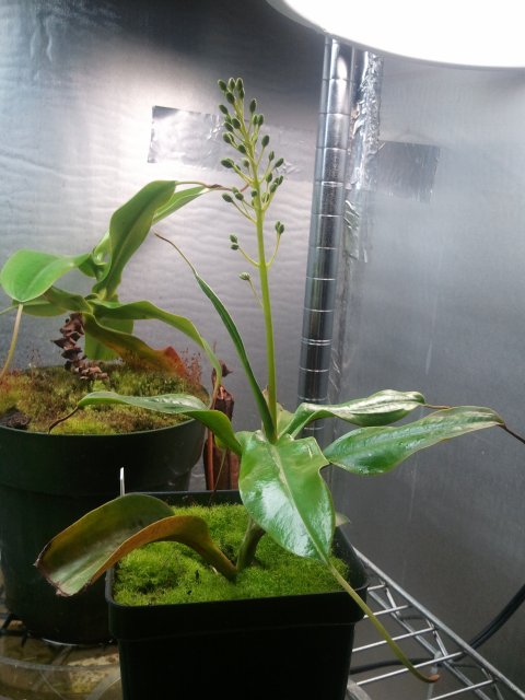 2012-02-12 19.42.07.jpg