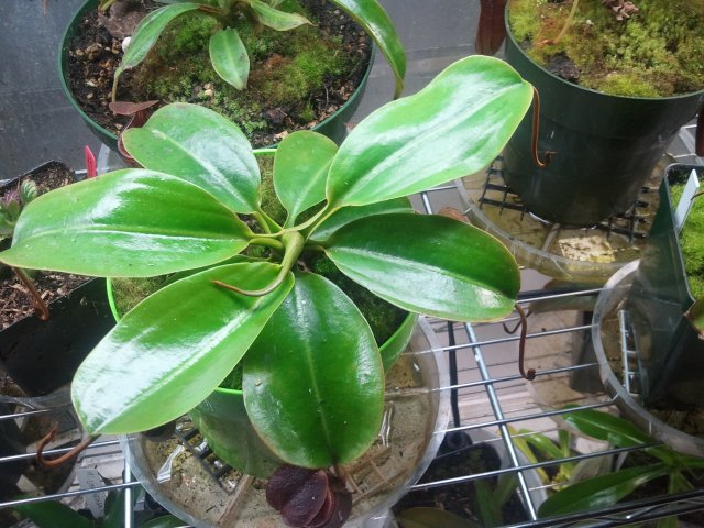 2012-02-12 19.42.20.jpg