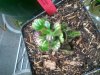 2012-02-12 19.42.45.jpg