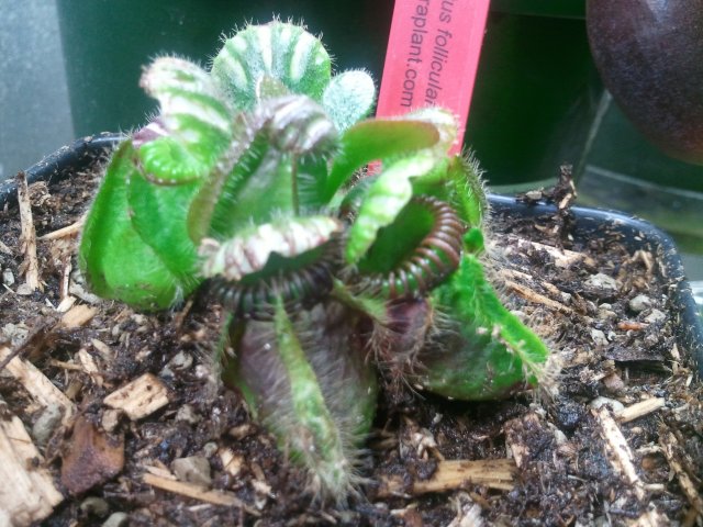 2012-02-12 19.42.53.jpg