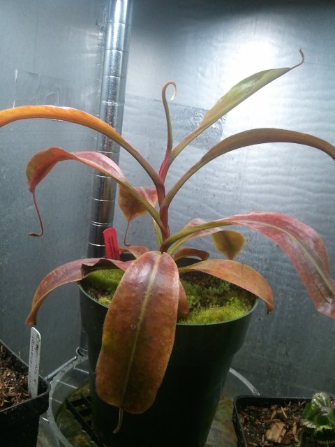 2012-02-12 19.43.01.jpg