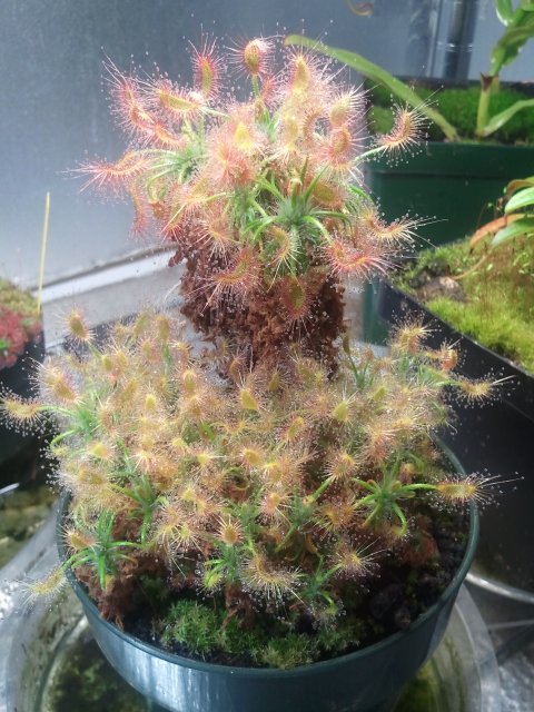 2012-02-12 19.43.04.jpg