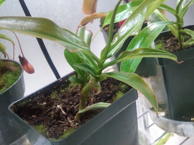 2012-02-12 19.43.35.jpg