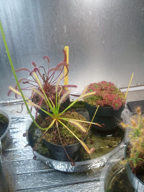 2012-02-12 19.44.27.jpg