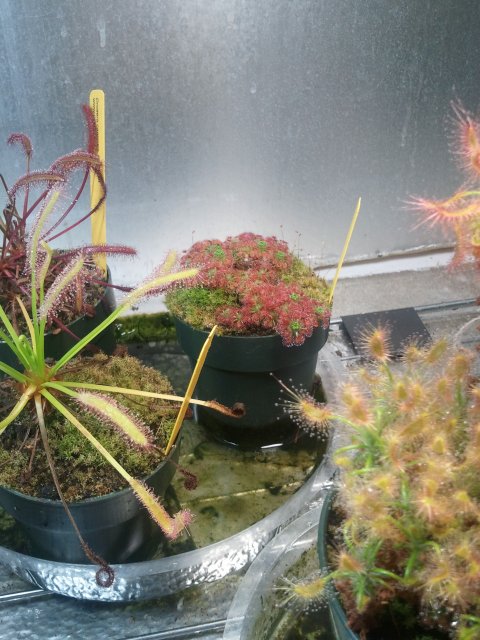 2012-02-12 19.44.32.jpg
