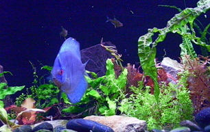 lunapic_132955331935878_33.jpg
