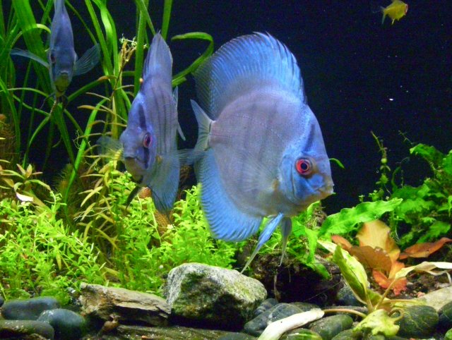 100_2188.JPG