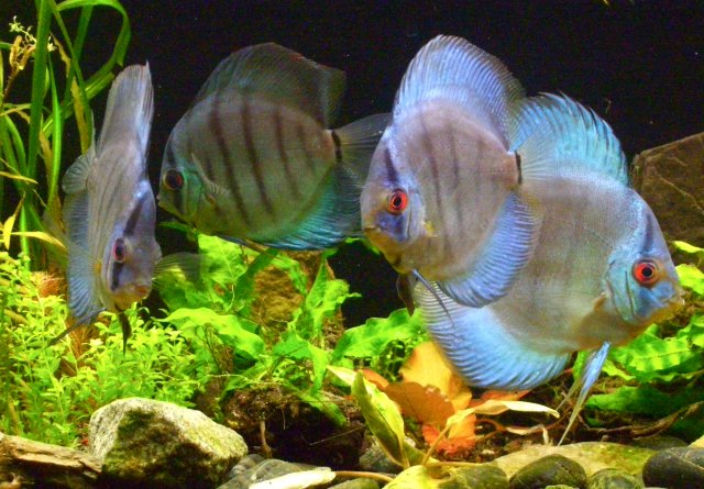100_2198.JPG