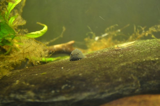 DSC_0518.jpg DSC_0518.jpg