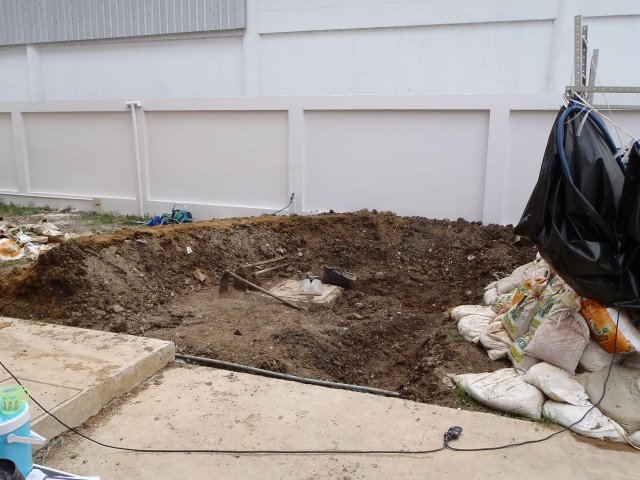P2180175.jpg