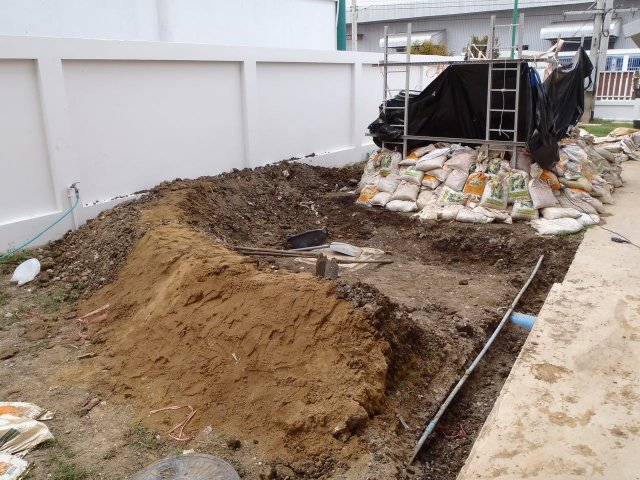 P2180177.jpg