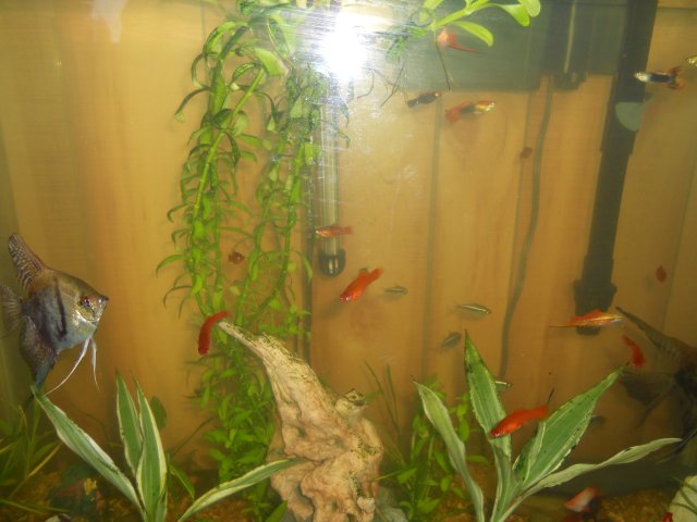 DSCN0896.JPG