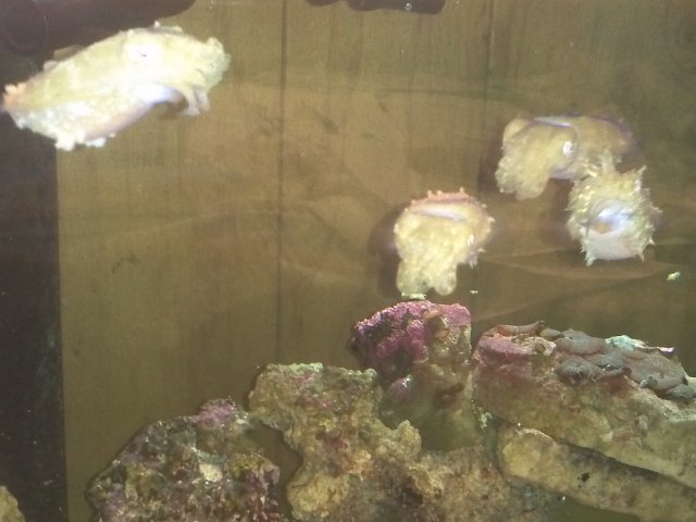 IMG_20120222_170343.jpg IMG_20120222_170343.jpg