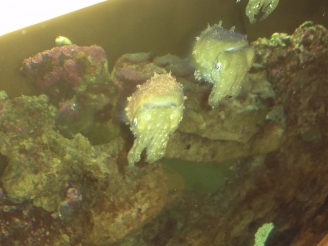 IMG_20120222_170353.jpg IMG_20120222_170353.jpg