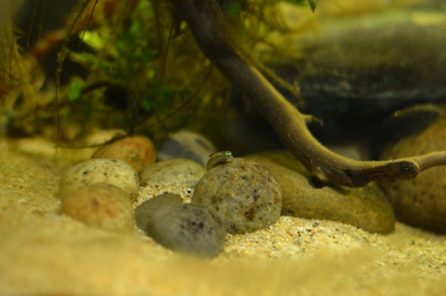 DSC_0512.jpg
