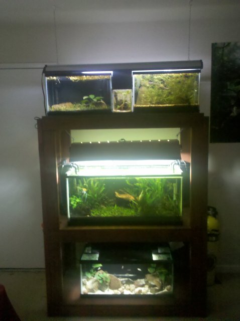 IMG_20120226_222115.jpg