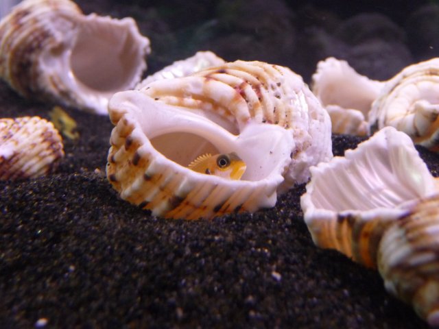 P1010675.JPG