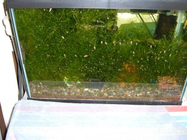 DSCF1966.JPG