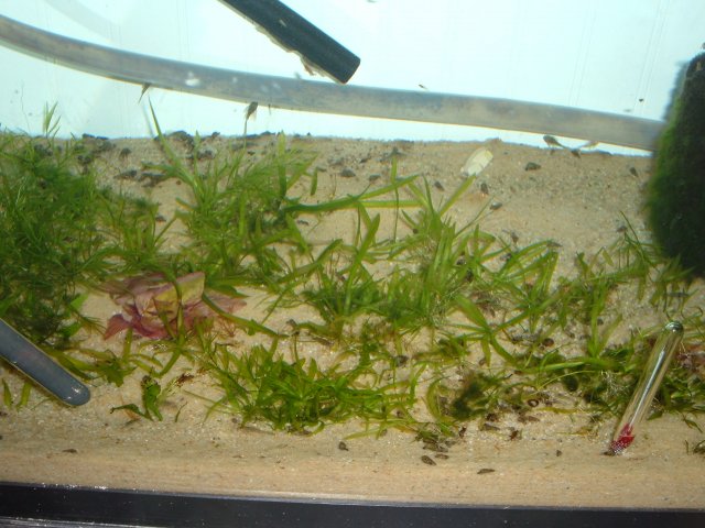 DSCF1882.JPG
