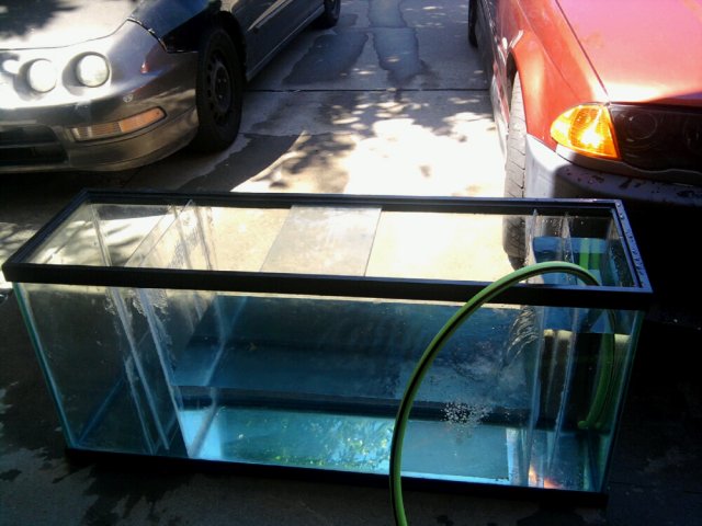 fish tank.jpg
