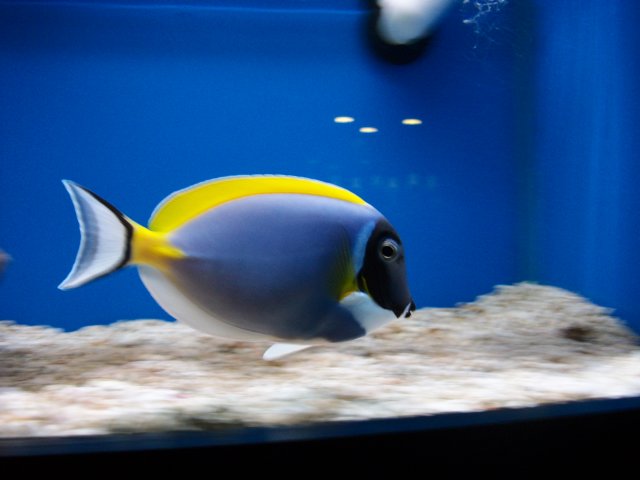 100_1793.JPG
