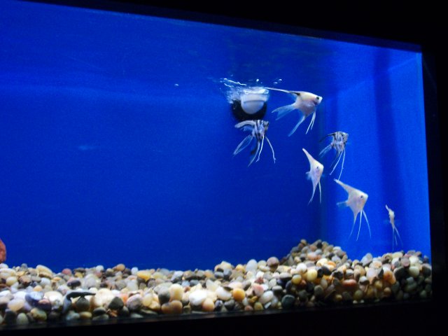 100_1815.JPG