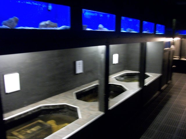 100_1787.JPG