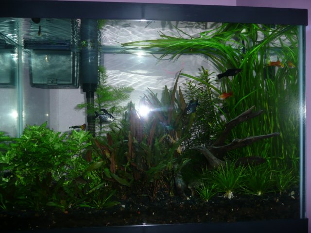 P1070539.JPG