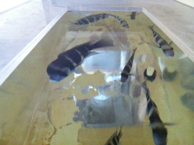 font 2 (2).JPG