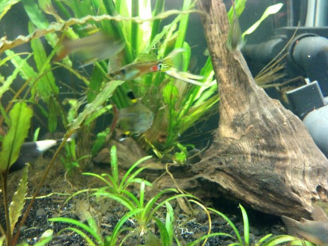 2012-03-10_18-06-58_263.jpg