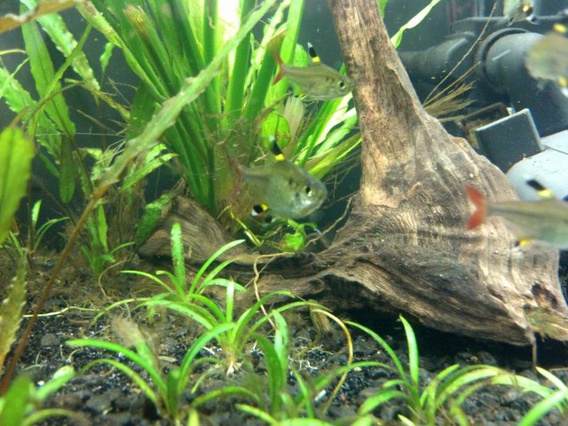 2012-03-10_18-07-21_537.jpg
